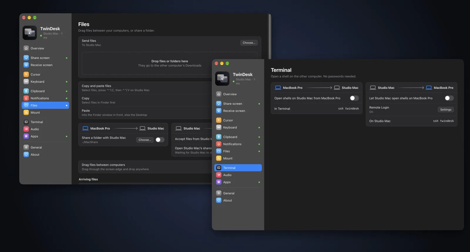 The Files page and the Terminal page